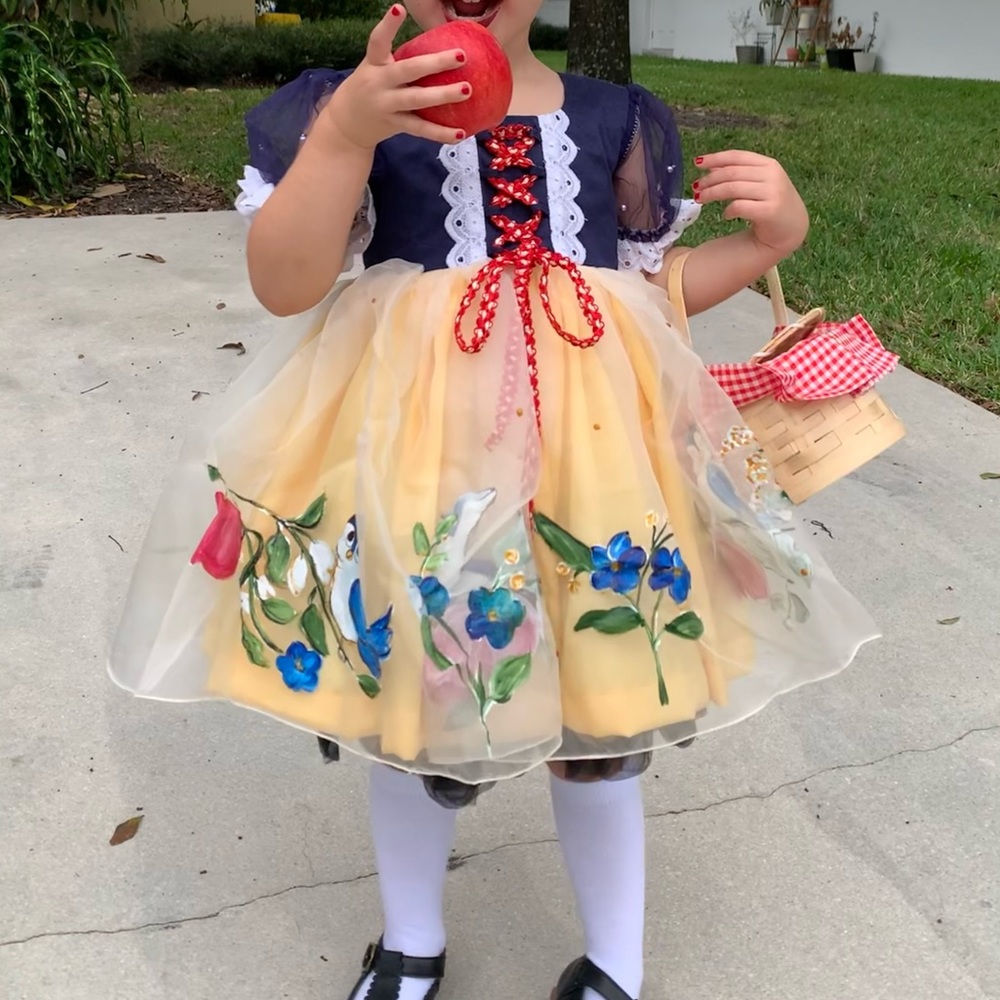 Hand painted Snow White dress